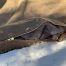 Bushcraft Spain Cowboy Bedroll