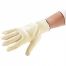 Heat Resistant Kevlar Nomex BBQ Gloves