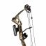 Poe Lang Combound Bow Rex 25-58bs RH Camo